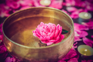 lotus flower in bowl
